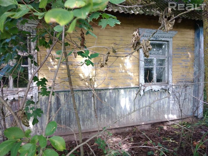 В Минской области бесплатно сдается дом в деревне. Есть подвох?