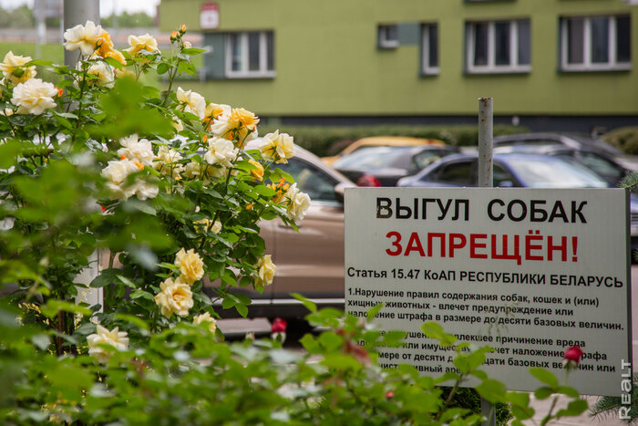 «Шутим, что ночью бродят призраки заключенных». Побывали в ЖК в Минске, который построен на месте колонии