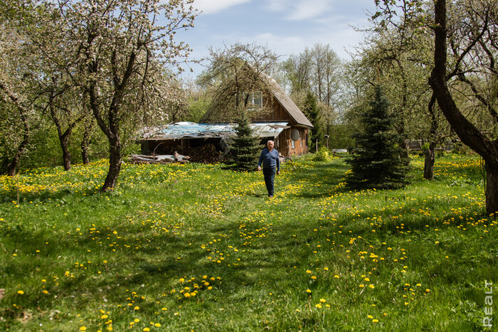 "Святая земля для хорошего хозяина". Известный врач продает свой уникальный дом среди 150 яблонь под Минском
