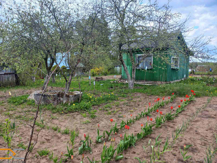 Не хоромы, но жить можно. Смотрим, какие дачи под Минском можно купить до 6 тысяч долларов