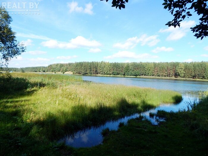 Свислочь прямо за забором, вокруг лес. Нашли недорогие дома возле рек и озер недалеко от Минска