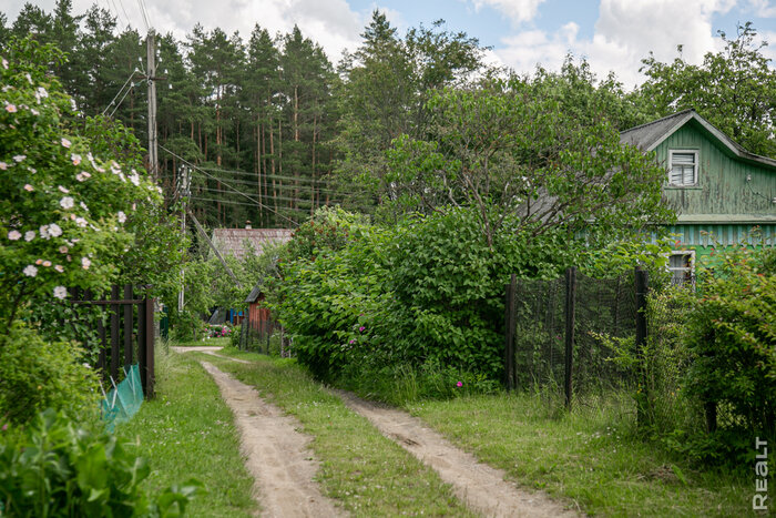 Чистый воздух и домики за 12 тысяч долларов. Побывали в классическом дачном поселке недалеко от Минского моря