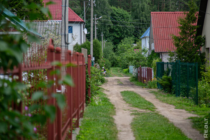 Чистый воздух и домики за 12 тысяч долларов. Побывали в классическом дачном поселке недалеко от Минского моря