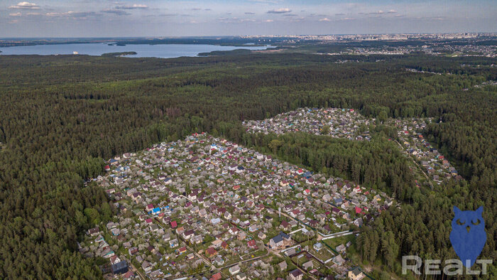 Чистый воздух и домики за 12 тысяч долларов. Побывали в классическом дачном поселке недалеко от Минского моря