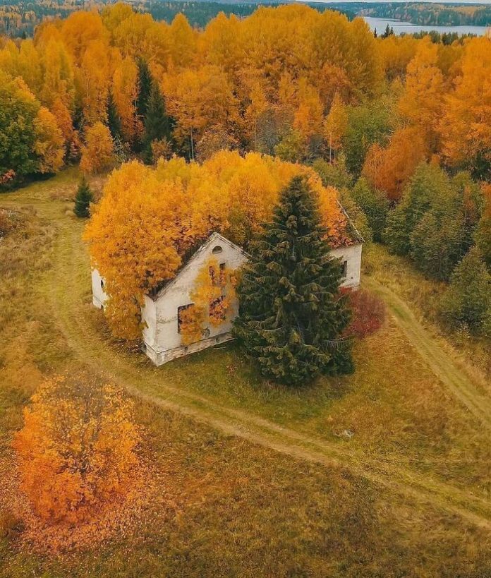 20 захватывающих забытых мест, где царит атмосфера таинственности