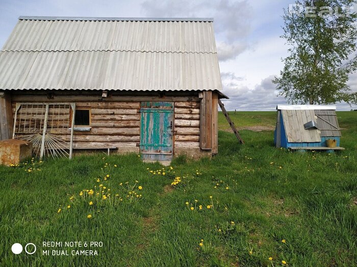 Крепкие дома у леса до 11 тысяч долларов. Смотрим, что можно купить за эти деньги в грибном краю недалеко от Минска