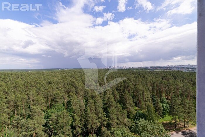 Как выглядят и сколько стоят квартиры прямо возле леса в Минске и окрестностях. Есть и недорогие