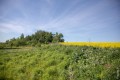 3 тысячи долларов за участок в 40 км от МКАД. Рассказываем, как сегодня прошел земельный аукцион