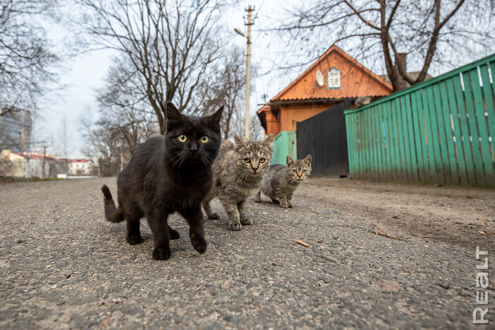 «Через 8 месяцев после выселения хозяйка написала заявление в милицию из-за пыли на полу». Белорусы рассказывают странные истории, как снимали жилье