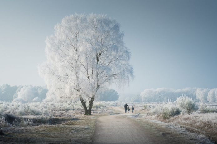 Фотограф-пейзажист считает Нидерланды самой красивой страной. И вот почему