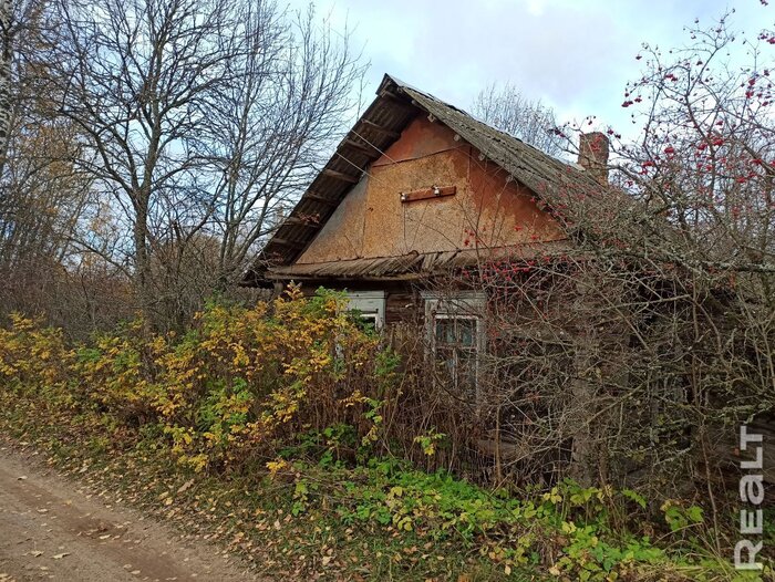 "Купили дом за 500 долларов". Семья уехала из Минска за 300 км и стала единственными жителями деревни