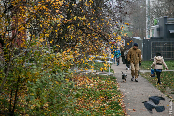 «Нас уже лет 20 собираются уплотнять». Прогулялись по тихому центру, который называли районом «пыжиковых шапок»