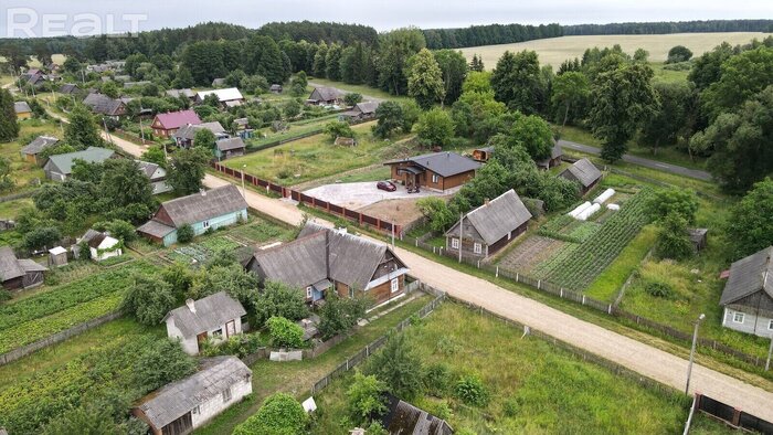 Нашли идеальный дом для зимних праздников. Он находится прямо в Беловежской пуще и стоит недорого