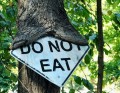20 фото «голодных» деревьев, которые поглощают все на своем пути