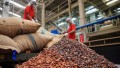В районе Ангарской в Минске могут построить цех по переработке какао-бобов. Жителей приглашают обсудить проект