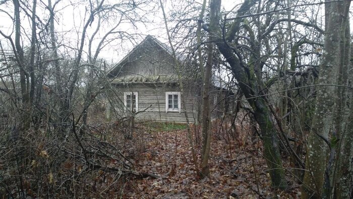 Белоруска вернулась из США, построила дом на Нарочи и перевезла две столетние хаты. Побывали у нее в гостях