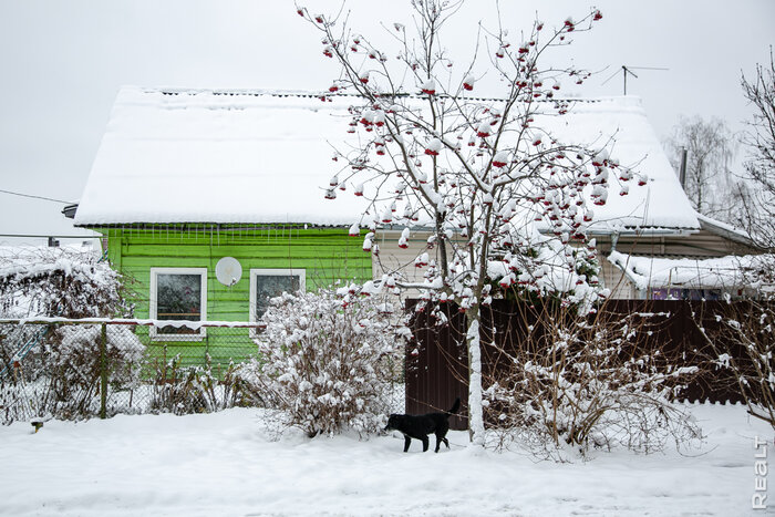 «Я помню, как рядом с проспектом коровы паслись». Как поживает минская «Рублевка» и сколько тут стоит жилье