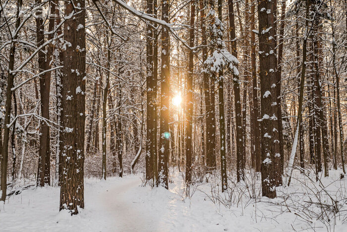 «Вокруг лес, красота и тишина». Загадочный ЖК в Минске, про который вы скорее всего не знали
