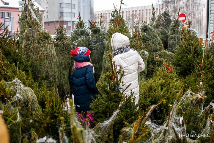 «Спрос даже выше, чем в прошлом году». Как отреагировал на кризис бизнес по продаже и аренде живых новогодних елей