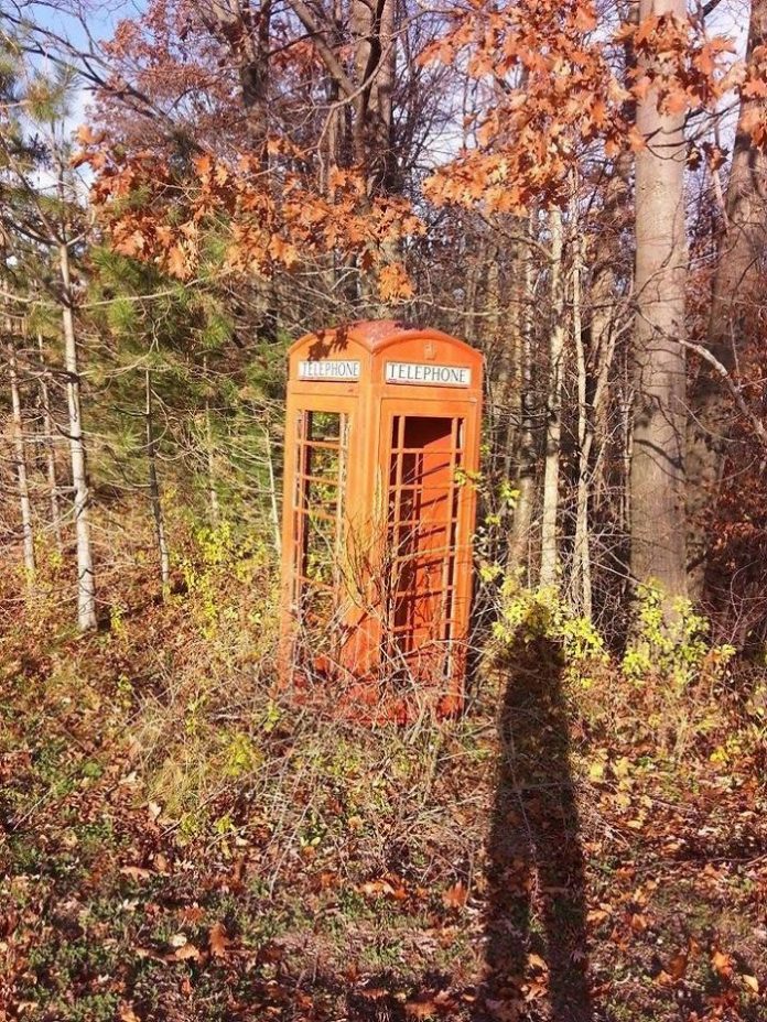 18 любопытных находок, обнаруженных в лесу
