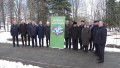 В Минске высадили 26 кленов в парке Чингиза Айтматова