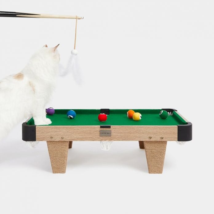 Специально для кошек создали миниатюрный бильярдный стол