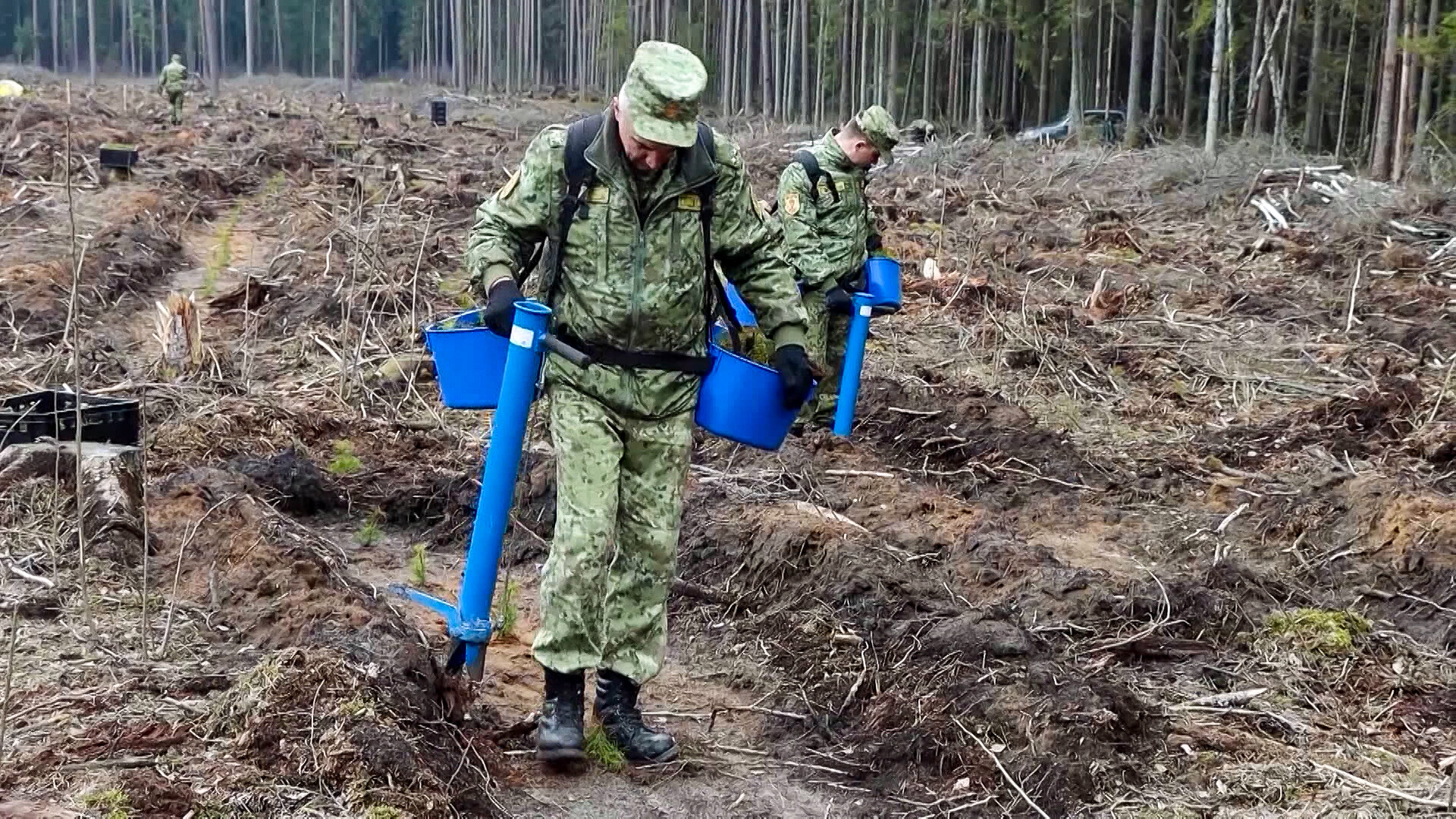 Пограничники присоединились к экологической акции «Неделя леса» в Беларуси