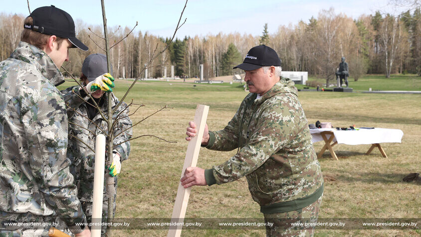 «Каждый сможет посадить здесь дерево»: Лукашенко призвал продолжить работы в «Хатыни»