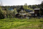 3 тысячи долларов за дачный участок под Минском. Итоги аукциона по продаже земли в СТ