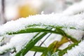 Погода в СНГ: штормовое предупреждение в Казахстане, мокрый снег в Беларуси