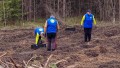 «Неделя леса» в Беларуси: сотрудники штаб-квартиры СНГ и МТРК «Мир» высадили саженцы сосны и березы