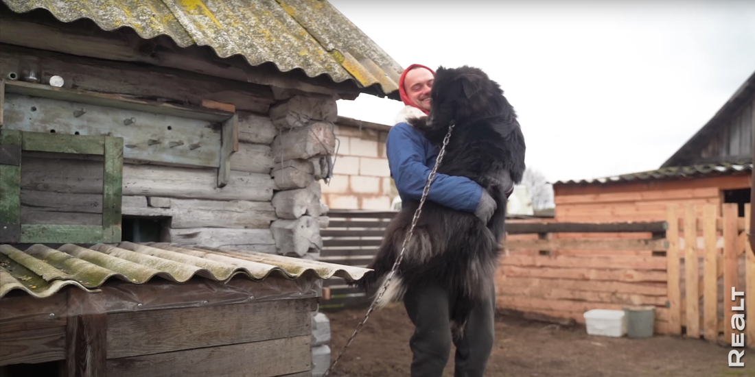 "Приехал отдохнуть - и остался жить". Молодой минчанин поселился в деревне, завел хозяйство и делает сыр