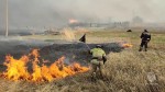 Лесные пожары в Турции помогут тушить специалисты из Беларуси