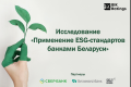 Исследование: применение ESG-стандартов банками Беларуси