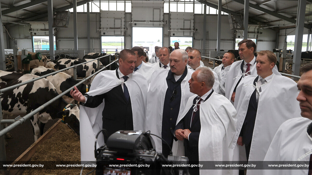 Лукашенко поручил аграриям уйти от диких ферм за пять лет