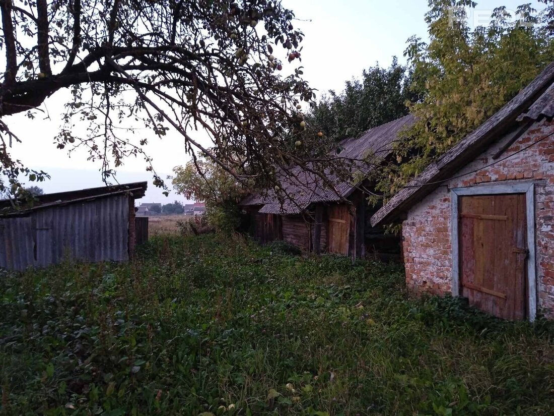 Крепкие дома с печками под дачу. Вот варианты до 3 тысяч долларов в хороших местах