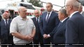 Лукашенко предложил забирать новорожденных животных у нерадивых хозяйственников