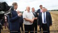 Лукашенко поручил выходить на темпы уборки зерновых в 6% площадей в день