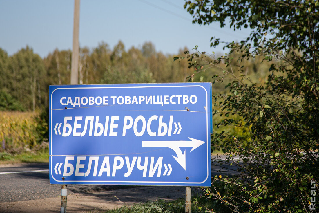 "Соседи тут будут солидные". Побывали в популярном дачном поселке с газом и асфальтом