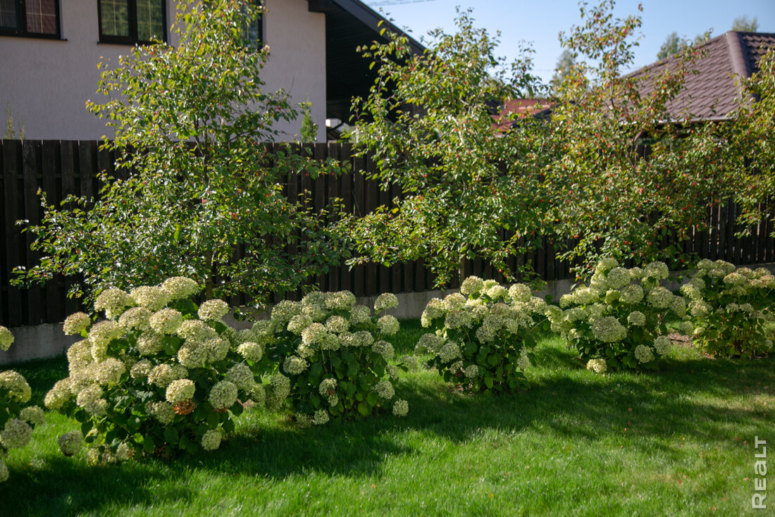 Красивый сад и дом под Минском. Владельцы рассказали, сколько стоило благоустройство по дизайн-проекту