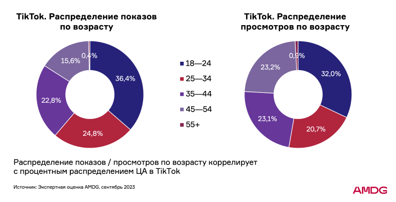 Основная аудитория — молодежь, но больше вовлечены люди 55+. Что изменилось в digital-продвижении потребительских товаров в 2023 году