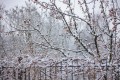 Погода в СНГ: на севере Казахстана выпал снег, Беларусь заливают дожди