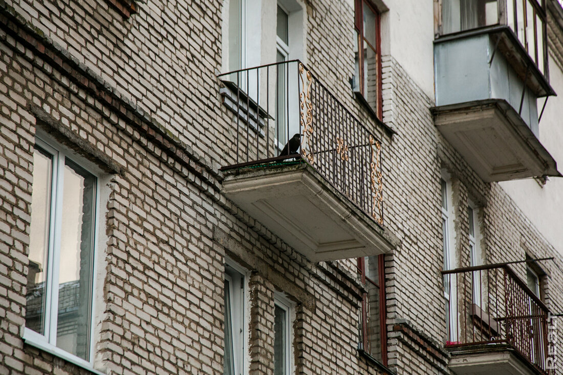 "Здесь нет человеческих магазинов". Как живется на полуострове у Свислочи в центре Минска