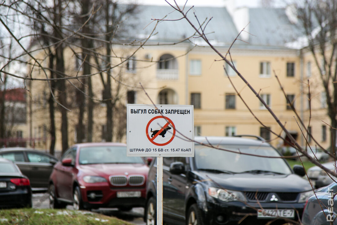 "Здесь нет человеческих магазинов". Как живется на полуострове у Свислочи в центре Минска