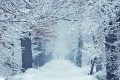 Погода в СНГ: Казахстан засыпало снегом, дороги Беларуси превратились в каток