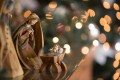 Католики в Беларуси собрались в костелах на рождественскую службу