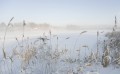 Погода в СНГ: в Казахстан после снегопадов пришли морозы, солнечно будет в Кыргызстане