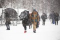 Погода в СНГ: циклон «Надин» пришел в Беларусь, сильный ветер дует в Кыргызстане