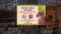Сотрудники МТРК «Мир» навестили в Минском зоопарке опекаемую рысь Яну