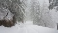 Погода в СНГ: штормовое предупреждение объявили в Казахстане, обильный снегопад обрушился на Кыргызстан